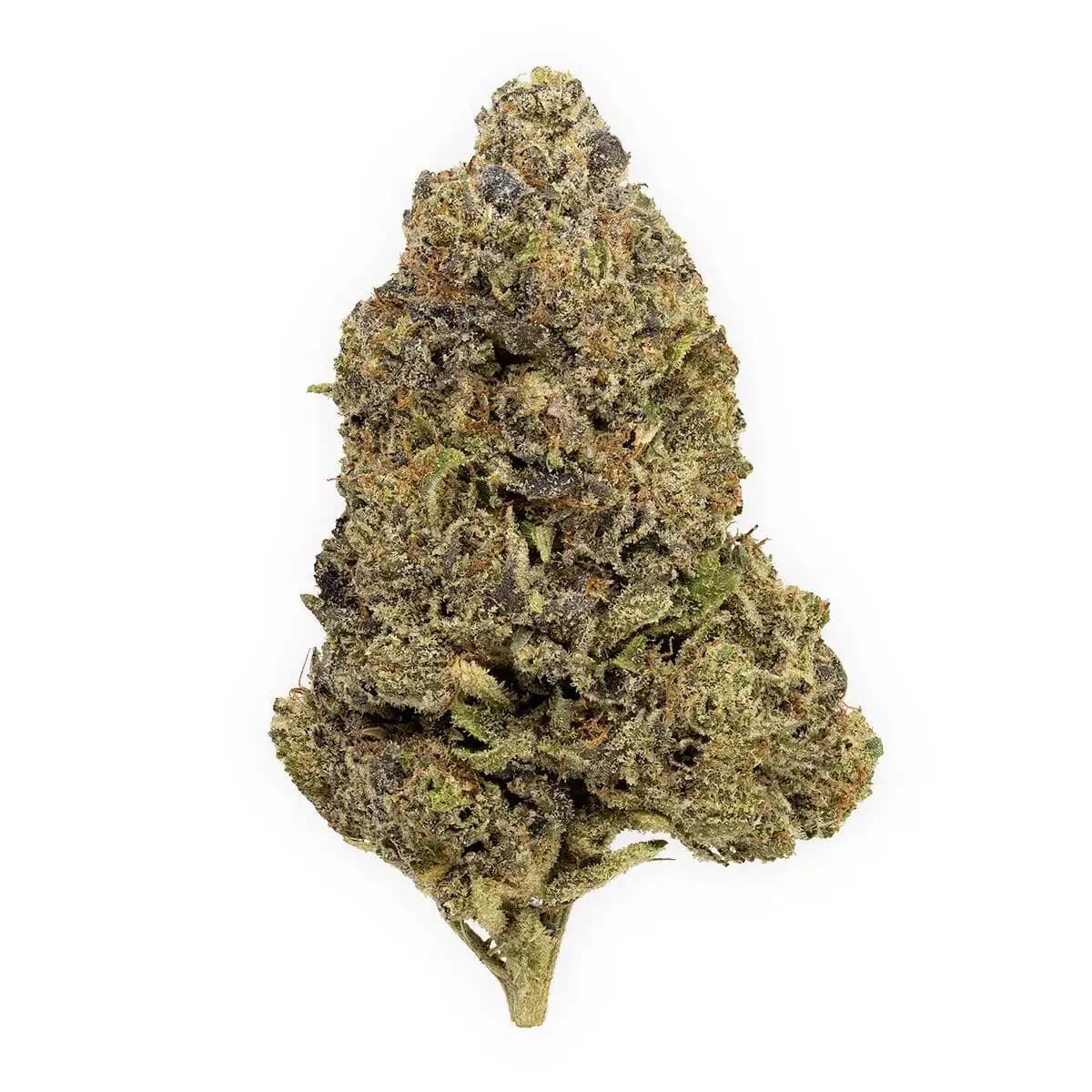 jelly breath