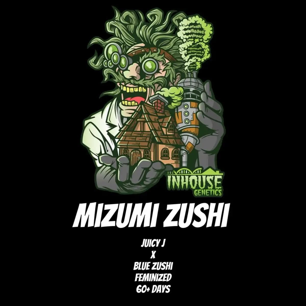 Mizumi Zushi