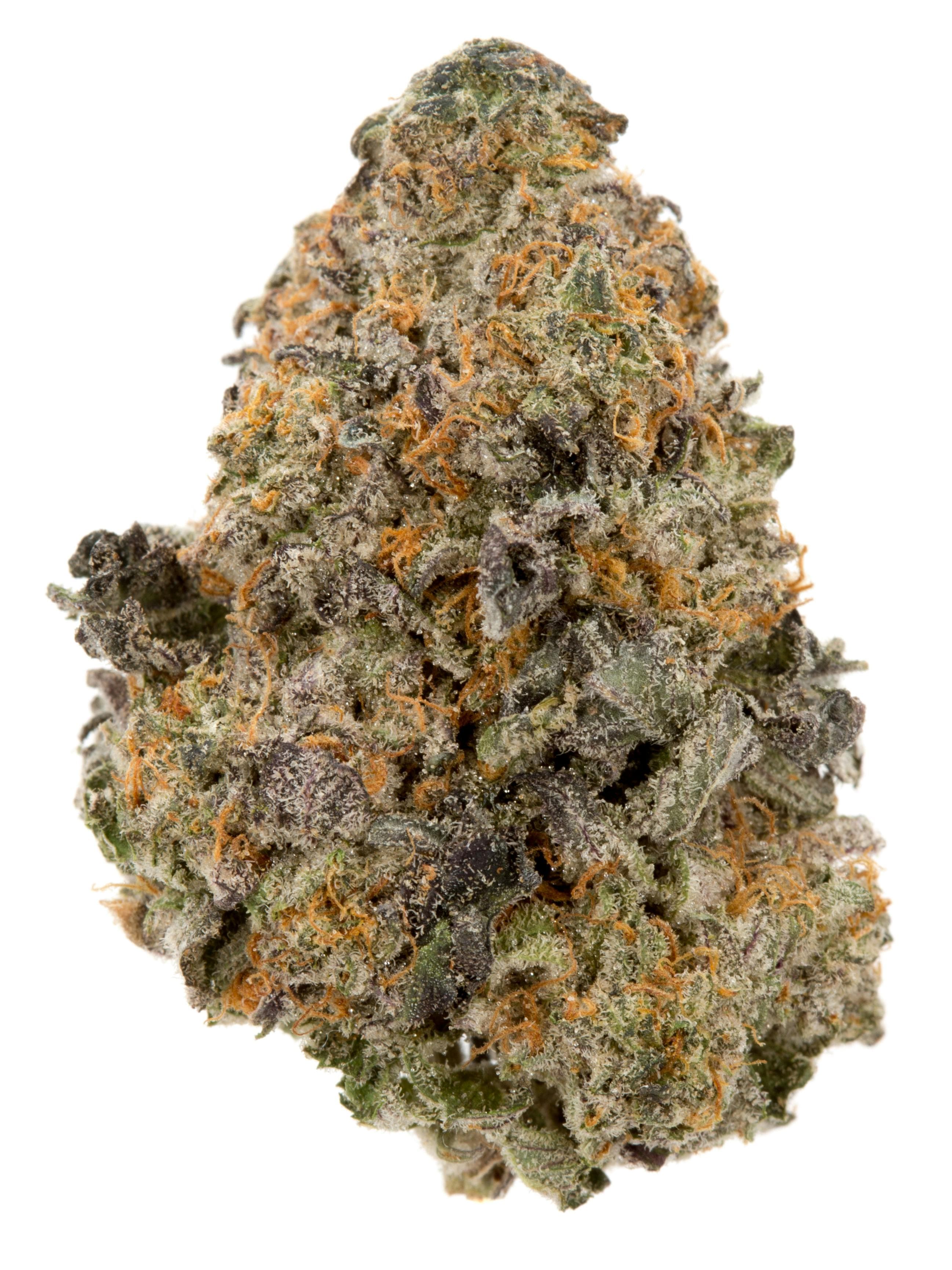 gelato