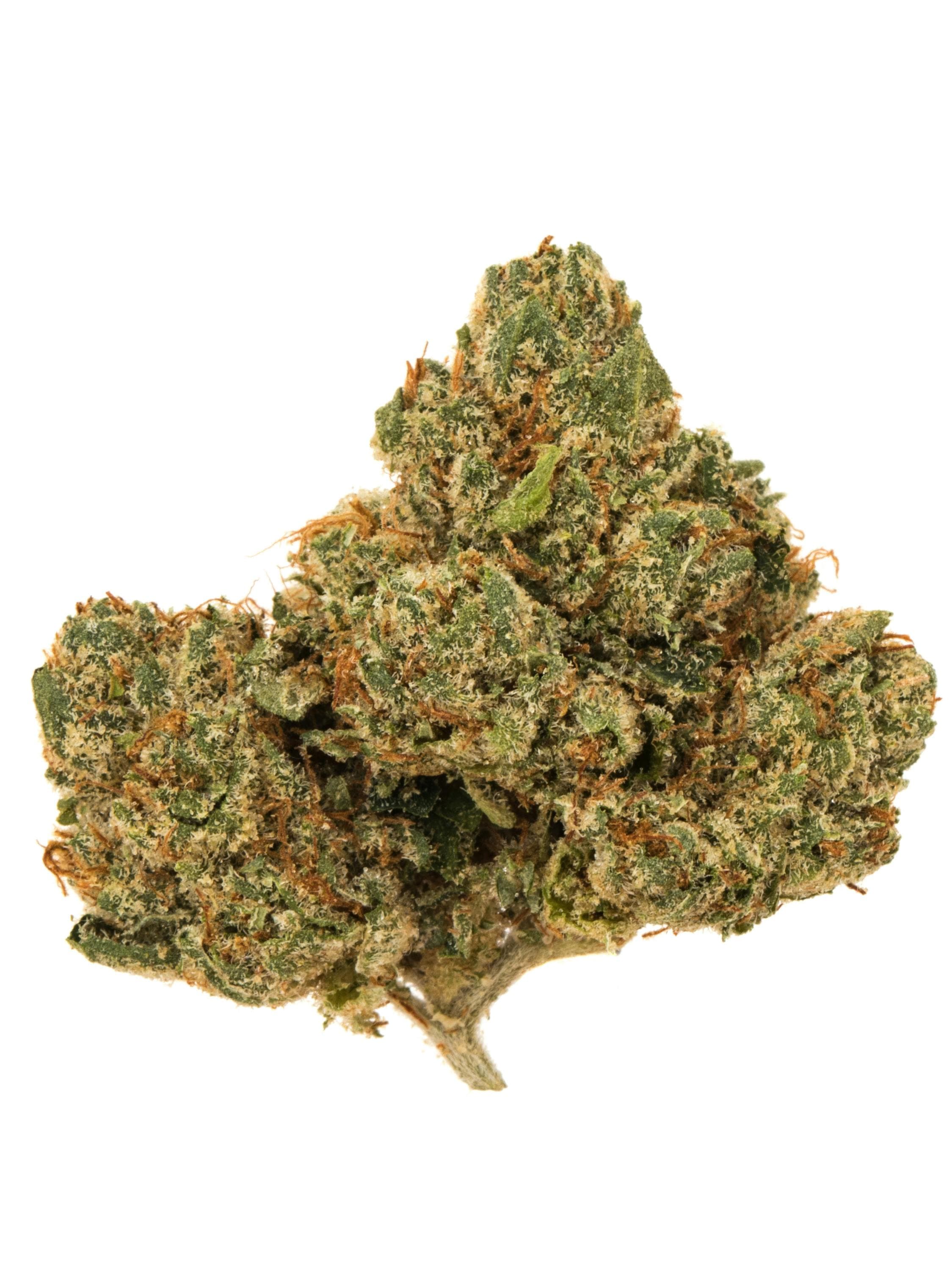 hardcore og