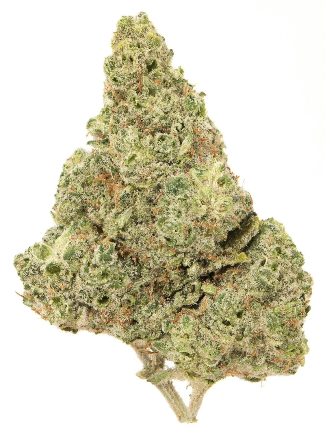 key lime pie