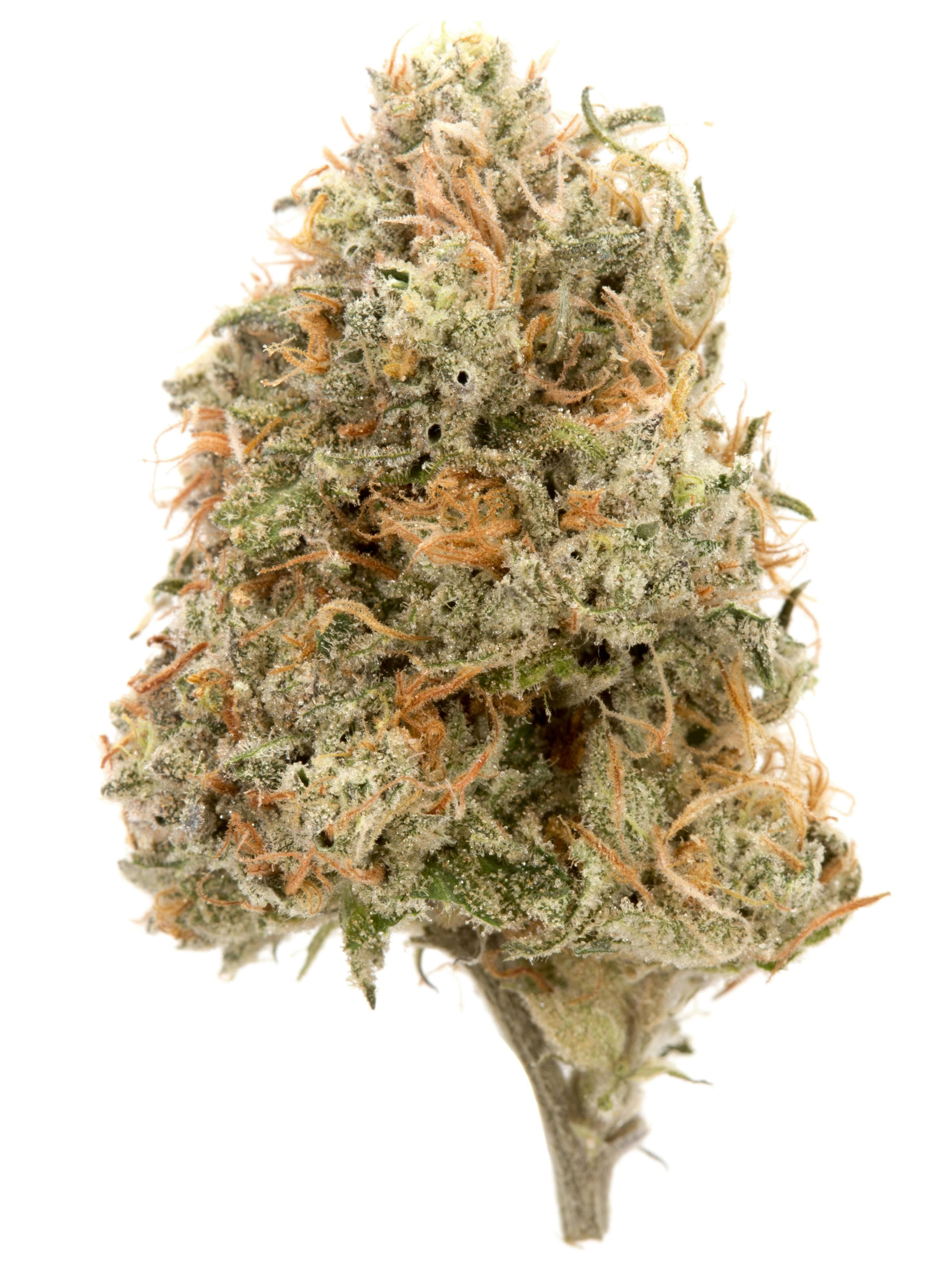 citrus sap