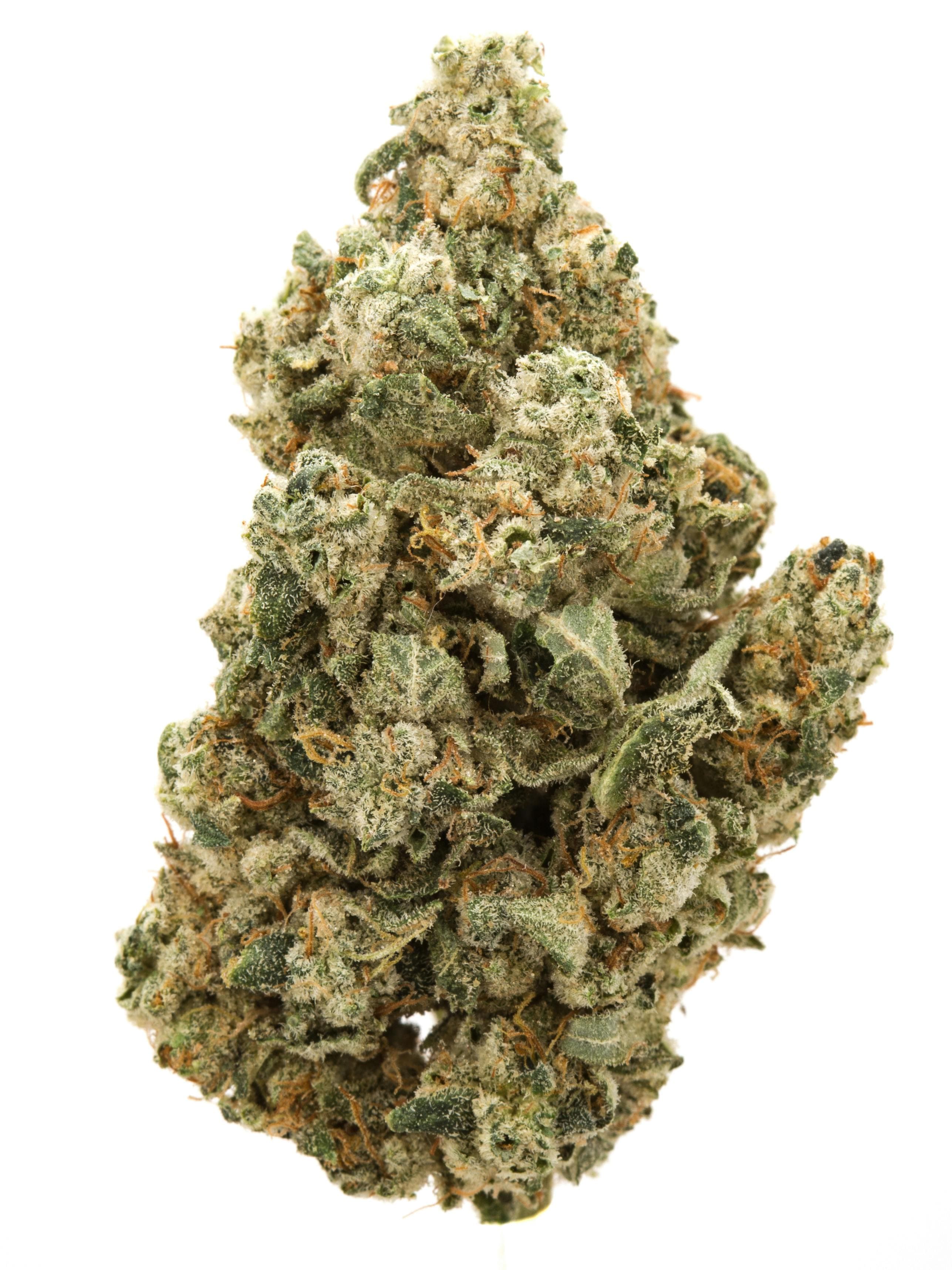 sour-dubble