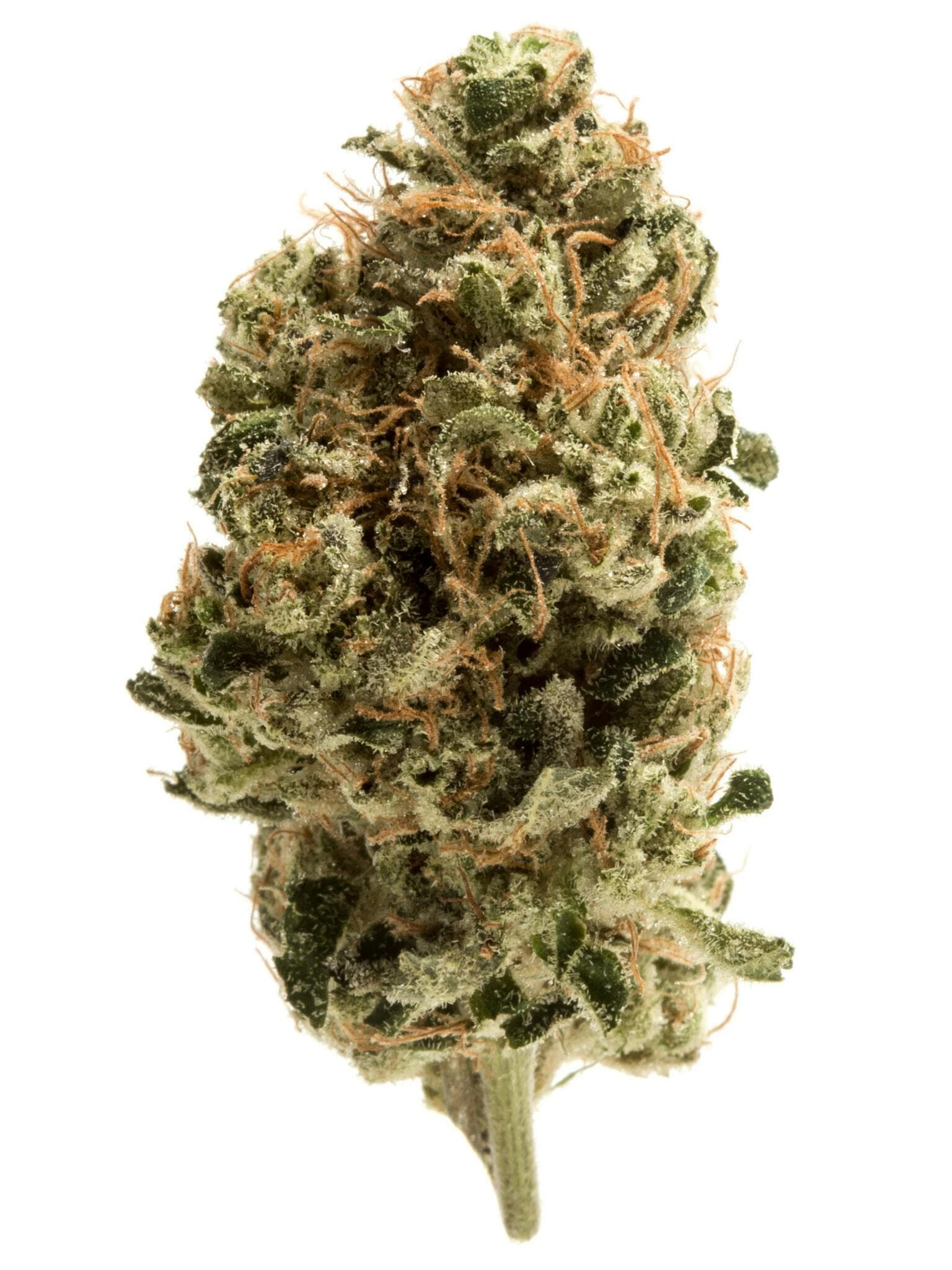 peach kush