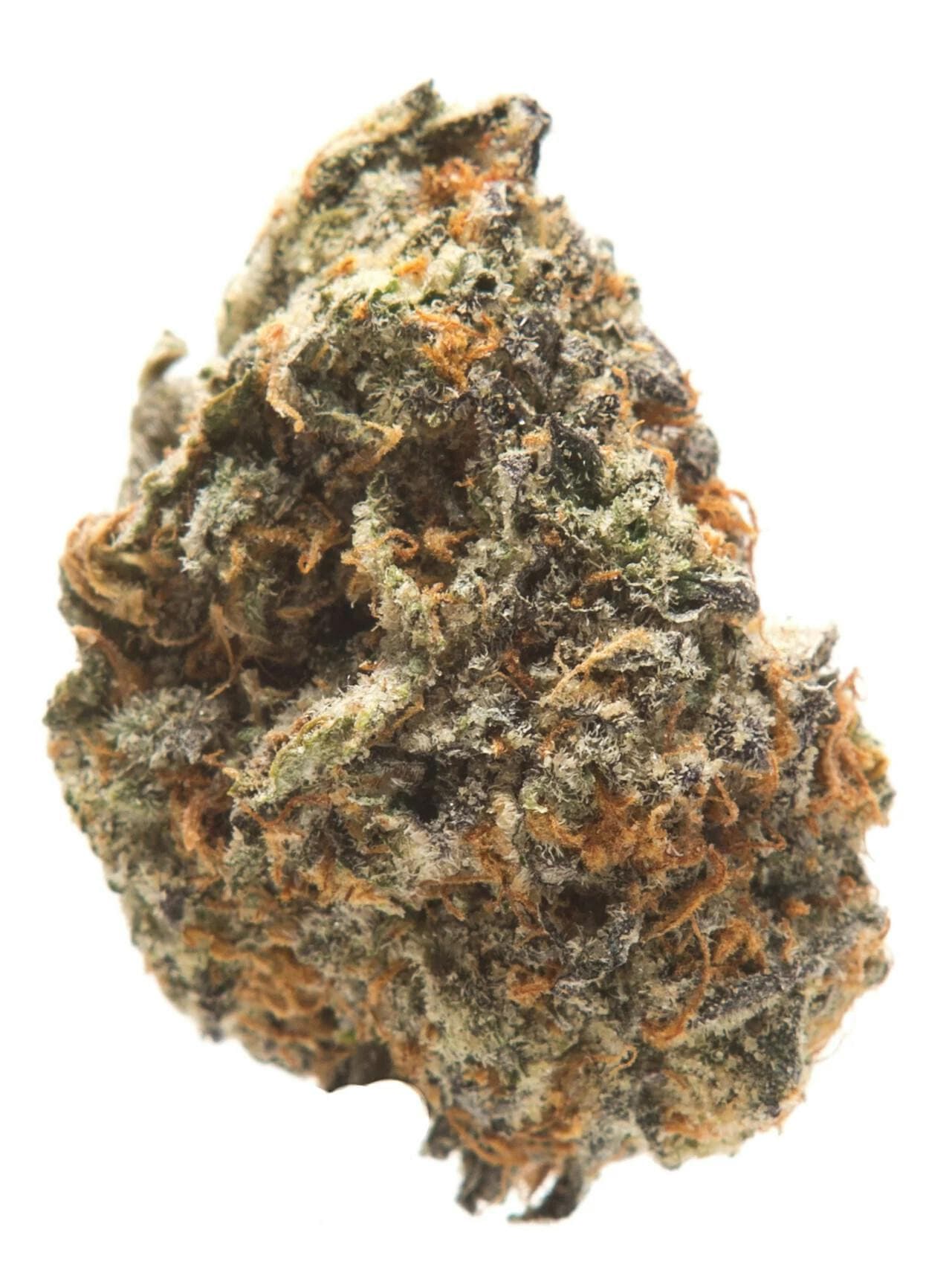 wedding gelato