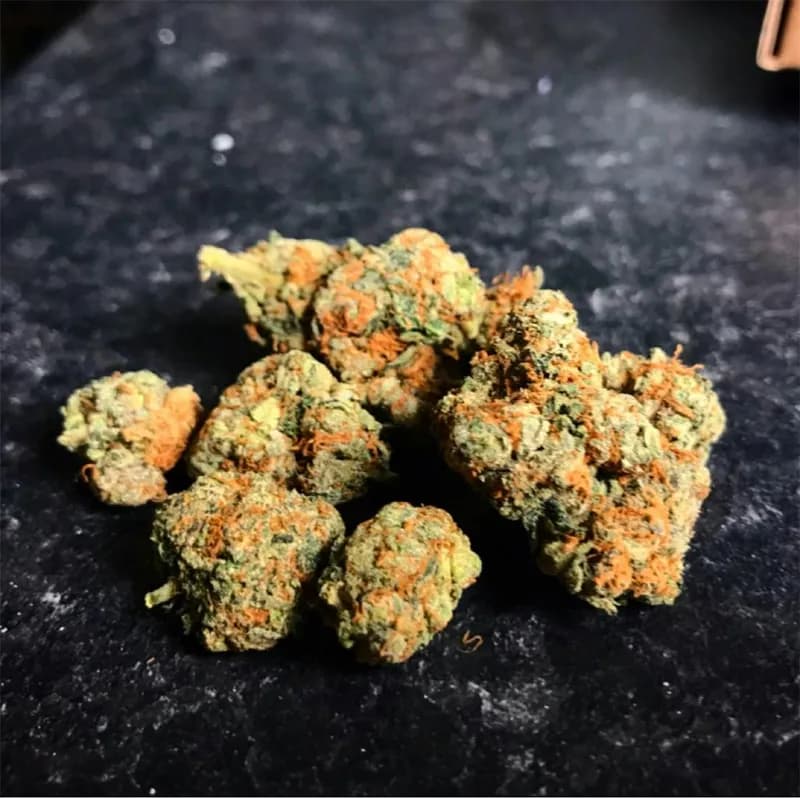 holy grail haze