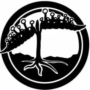Bloom Seed Co