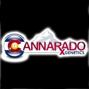 Cannarado Genetics