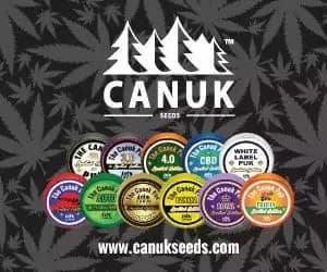 Canuk Seeds