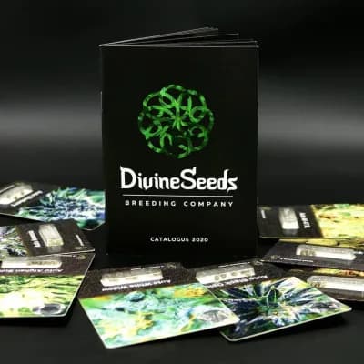 Divine Seeds
