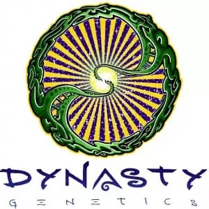 Dynasty Seeds