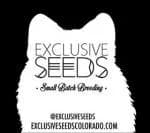 Exclusive Seeds