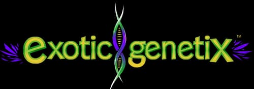 Exoticgenetix