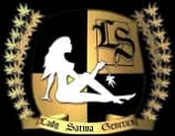 Lady Sativa Genetics