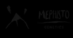 Mephisto Genetics