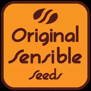 Original Sensible Seeds