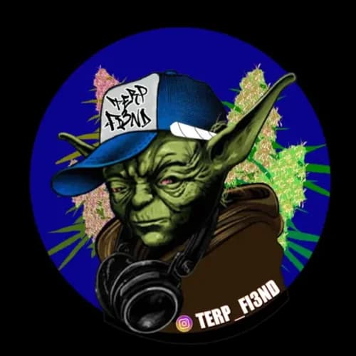 Terp Fi3nd Genetics