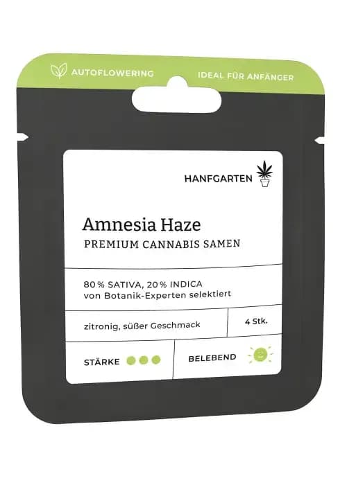 amnesia haze