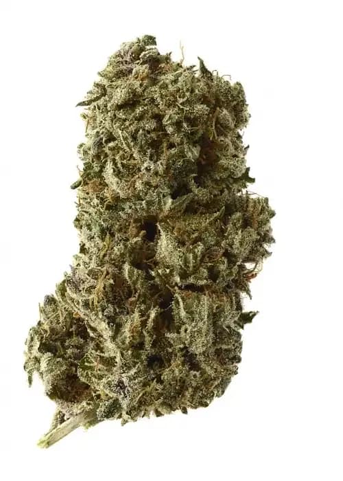 kosher tangie kush