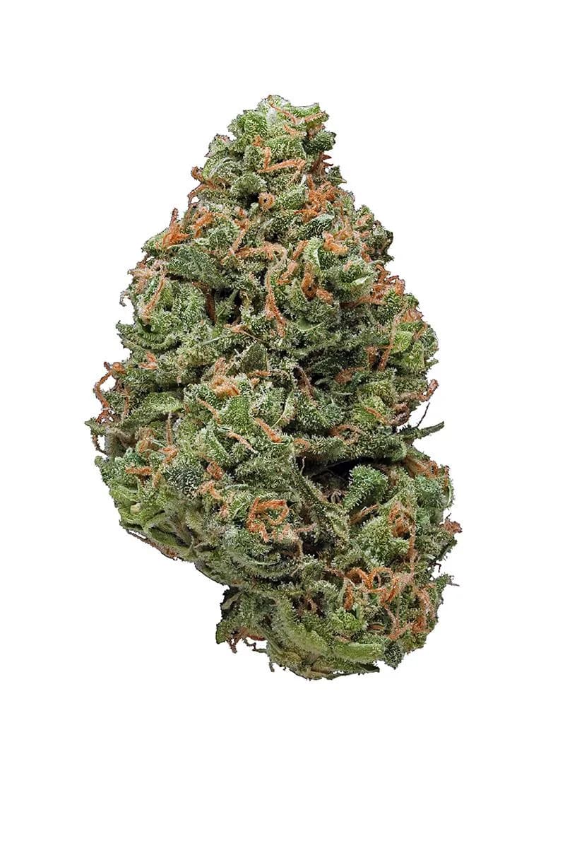big buddha cheese