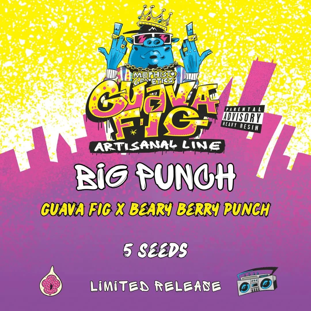 Big PUNch