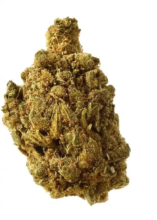 Blue Amnesia