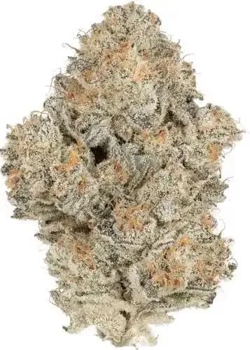Mount Zereal Kush cannabis strain - Hybrid