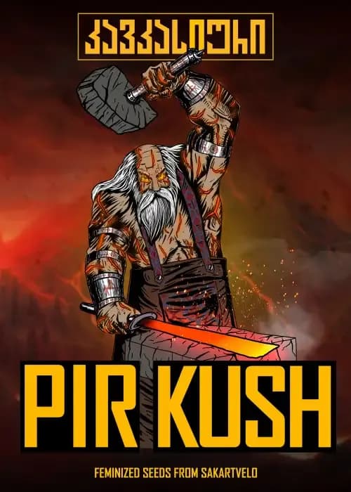 PirKush Auto