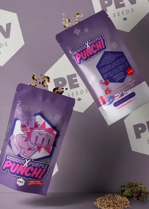 do-si-dos x purple punch