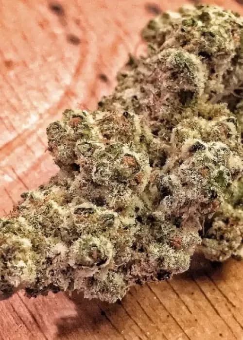 cookies & cream