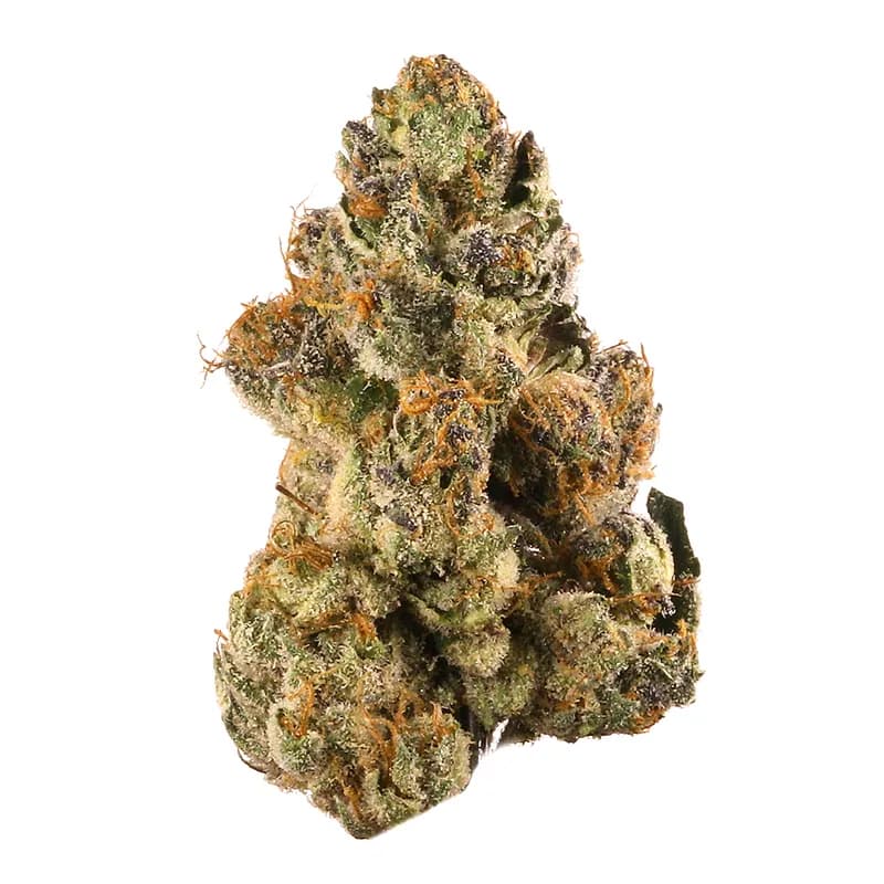 Gelato cannabis strain - Hybrid