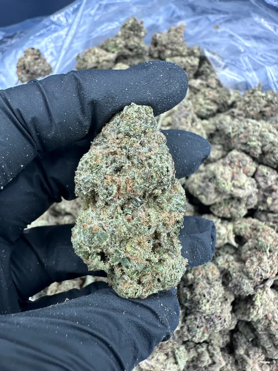 Girl Scout Cookies THCA Flower