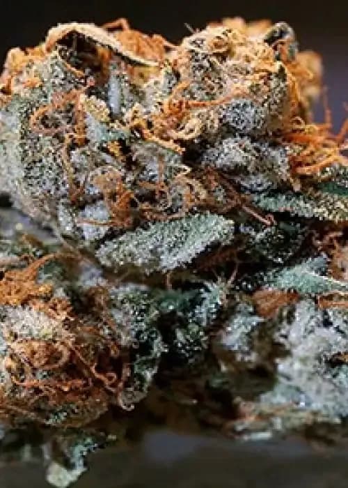 og kush