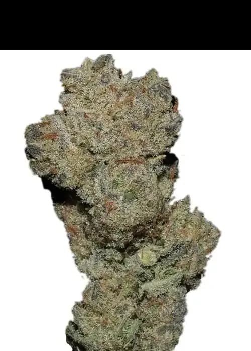 banana glue