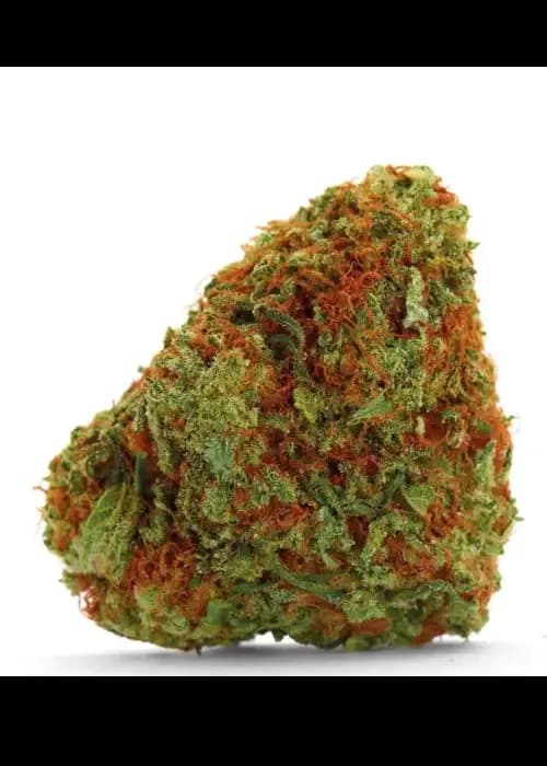 bubblegum x fat hog