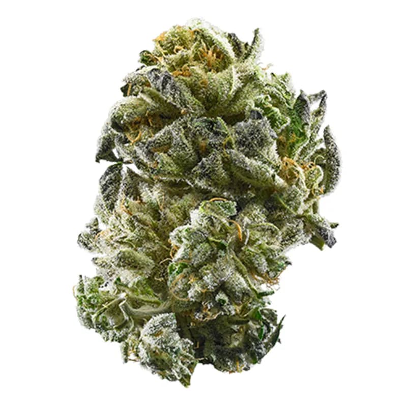gsc