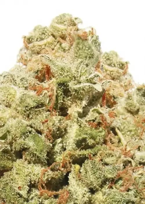 strawberry cheesecake