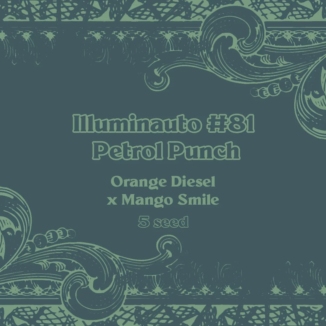 ILL#81 - Petrol Punch