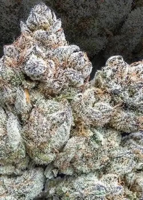 banana punch