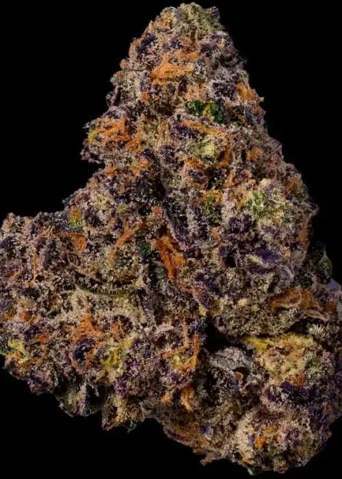 LA Pop Rocks cannabis strain - Hybrid