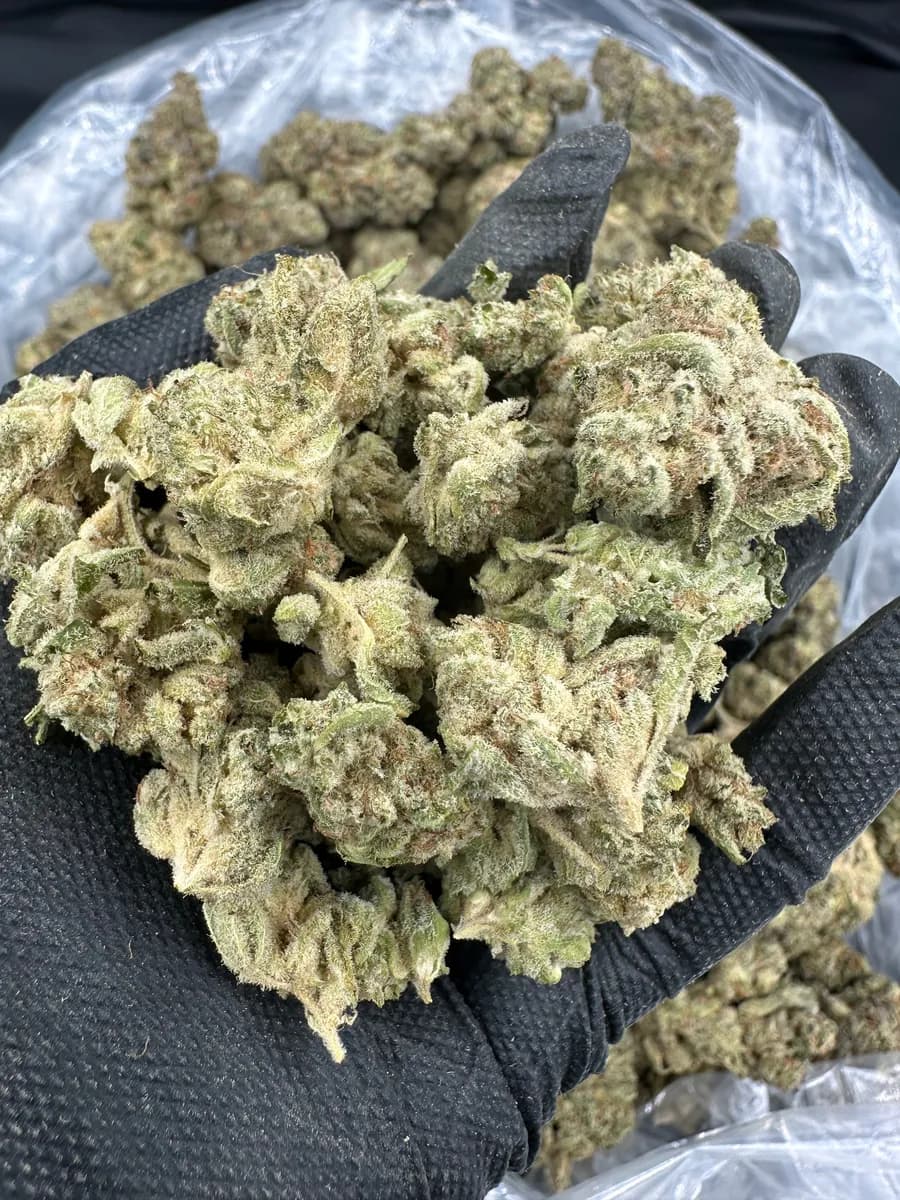 Lemon Haze THCA Flower