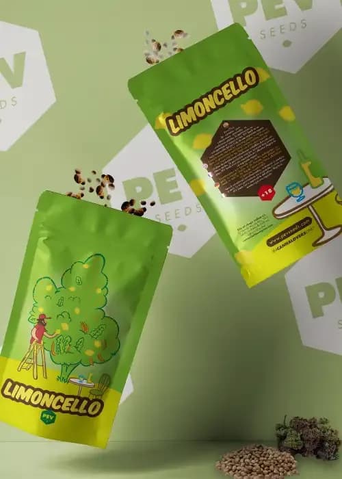 Limoncello cannabis strain - Hybrid