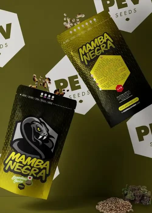 mamba negra auto