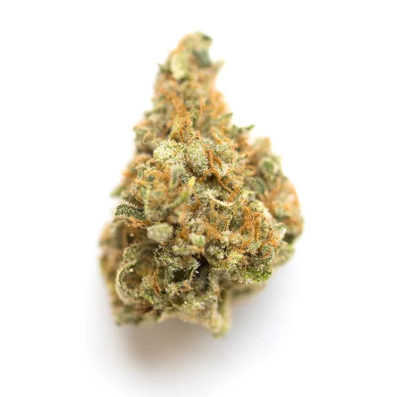 mango kush