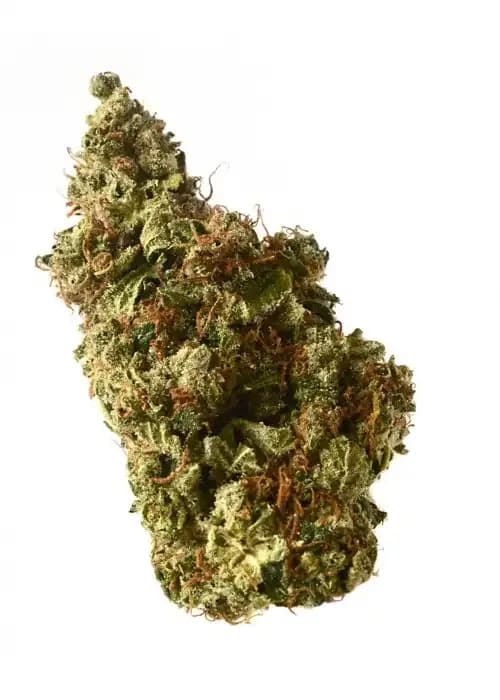 Milkshake Kush