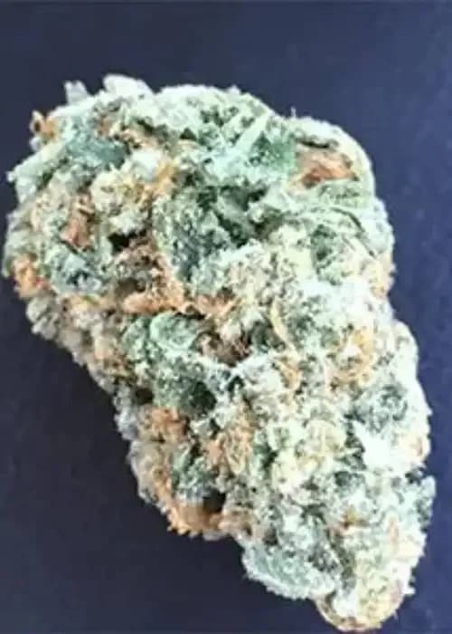 Whiskey Zulu Auto