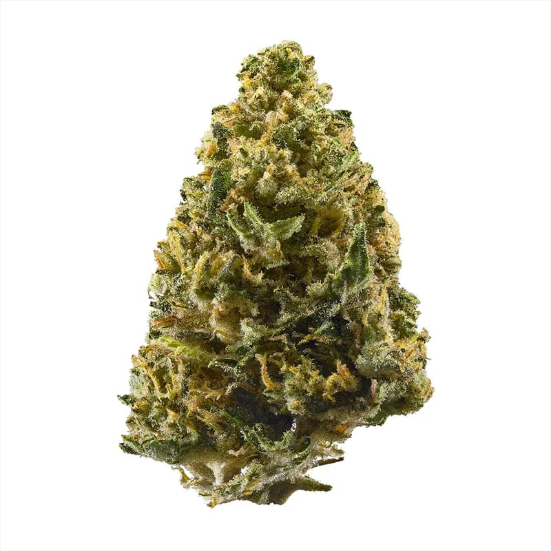 northern lights