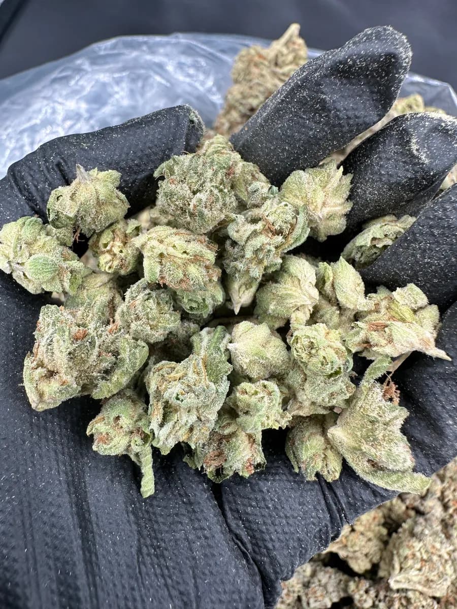 OG Kush THCA Flower