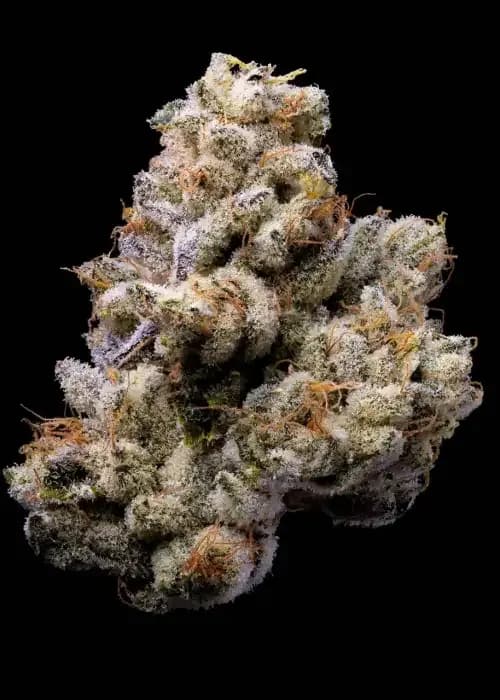 orange cake