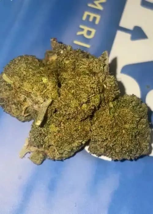 unicorn piss